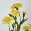 Marigold Spray Yellow - Pack of 24