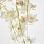 Dendrobium Spray White - Pack of 12
