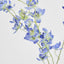 Dendrobium Spray Blue