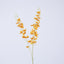 Dendrobium Orchid Spray Orange
