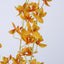Dendrobium Orchid Spray Orange