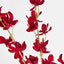 Dendrobium Spray Red - Pack of 12