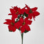 Poinsettia Bush Red Box of 60 - Pack of 12