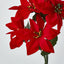 Poinsettia Bush Red Box of 60 - Pack of 12