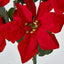 Poinsettia Bush Red Box of 60 - Pack of 12