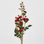 Burma Rose Spray Red - Pack of 12