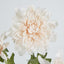 Chrysanthemum Spray x 3 Blush Pink - Pack of 24