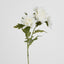 Chrysanthemum Spray x 3 White