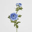 Ranunculus Spray x 3 Blue