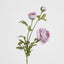Ranunculus Spray x 3 Purple