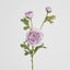 Ranunculus Spray x 3 Purple