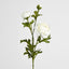 Ranunculus Spray x 3 White - Pack of 12
