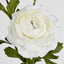 Ranunculus Spray x 3 White - Pack of 12