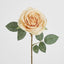 Butter Cream Rose 63cm - Pack of 12