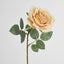 Butter Cream Rose 63cm - Pack of 12