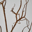 Twig Branch 104cm Brown