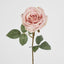 Dusty Pink Rose 63cm - Pack of 12