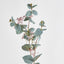 Seeded Eucalyptus Spray 67cm Green - Pack of 24
