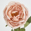 Cabbage Rose 63cm Pink - Pack of 12