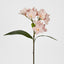 Pink Frangipani Spray 46cm