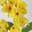 Yellow Frangipani Spray
