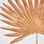 Sun Palm Leaf Brown