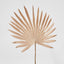 Sun Palm Leaf Light Brown