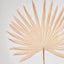 Sun Palm Leaf Light Brown
