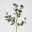 Eucalyptus with Seed 87cm Green - Pack of 12