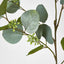 Eucalyptus with Seed 87cm Green - Pack of 12