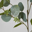 Eucalyptus with Seed 87cm Green - Pack of 12
