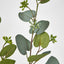Eucalyptus with Seed 87cm Grey green - Pack of 24