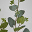 Eucalyptus with Seed 87cm Grey green - Pack of 24