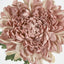 Chrysanthemum 76cm Purple - Pack of 24
