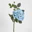 Queen Rose 35cm Blue - Pack of 12