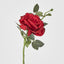 Queen Rose 35cm Red - Pack of 12