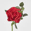 Queen Rose 35cm Red - Pack of 12
