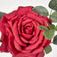 Queen Rose 35cm Red - Pack of 12