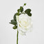 Queen Rose 35cm White