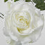 Queen Rose 35cm White