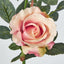 Alice Rose 36cm Soft Pink - Pack of 24