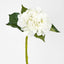 Hydrangea Water Stem 49cm White