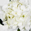 Hydrangea Water Stem 49cm White