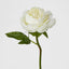 Peony Short Stem White - Pack of 24