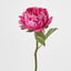 Peony Short Stem Dark Pink - Pack of 24