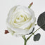 Jessica Rose Bud 31cm White - Pack of 24