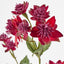 Astrantia Spray Red - Pack of 24