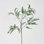 Eucalyptus Saligna Branch 98cm - Pack of 48