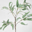 Eucalyptus Saligna Branch 98cm - Pack of 48