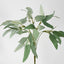 Eucalyptus Leaf Bush 40cm Green